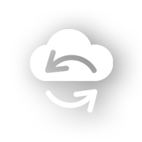 Backup Icon